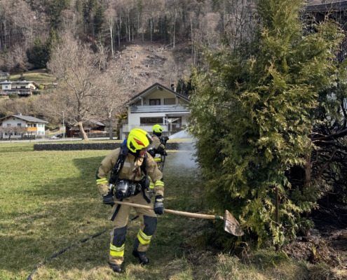 20260325_084154371_iOS