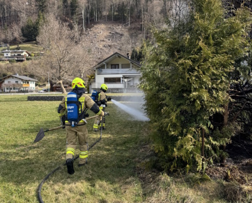 20260325_084157463_iOS