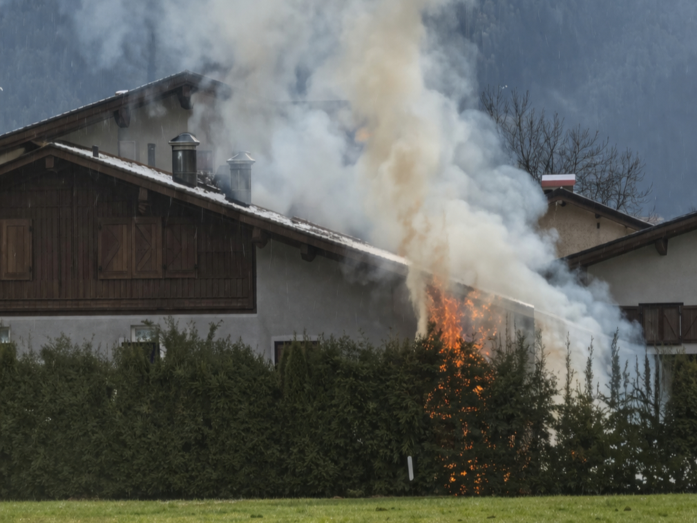 b9c43946-6948-4cdb-ba17-9c8d148bfd04_cropped